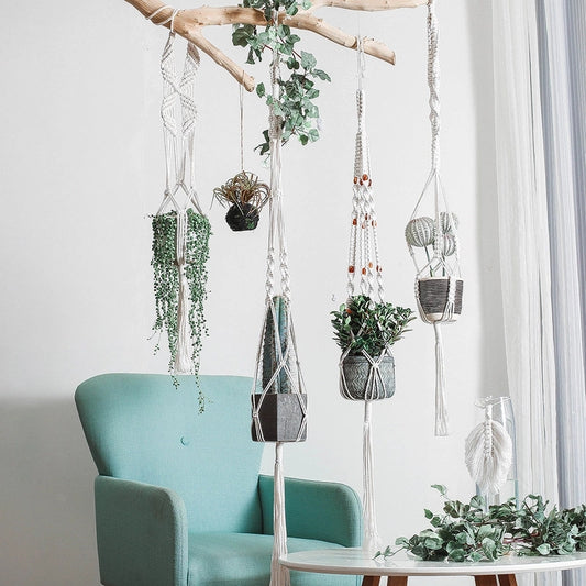 Ensemble de 5 Suspensions en Macramé pour Plantes